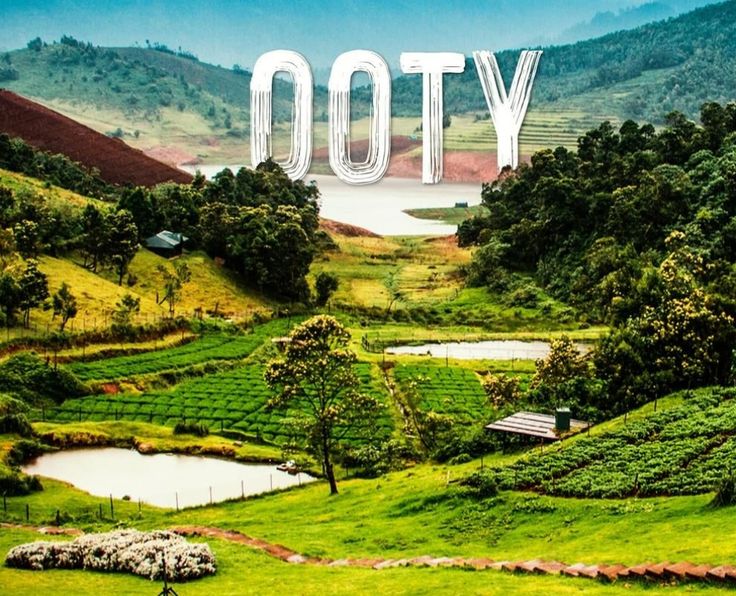 OOTY